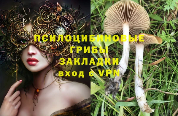 дмт Нязепетровск