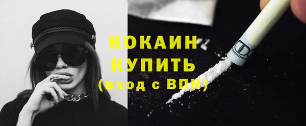 прущие грибы Видное