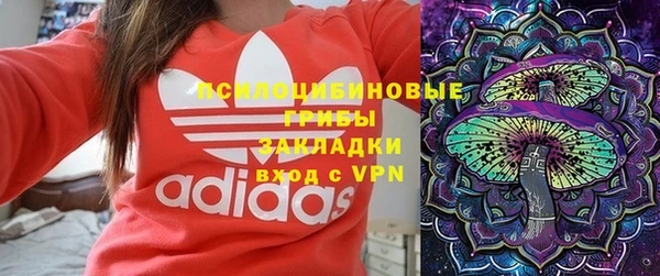 бутират Няндома