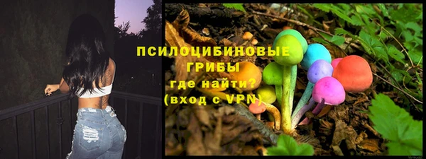 ешки Весьегонск