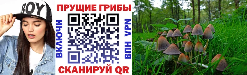Псилоцибиновые грибы мухоморы Медынь